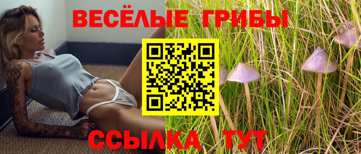 Галлюциногенные грибы Psilocybe Ковров