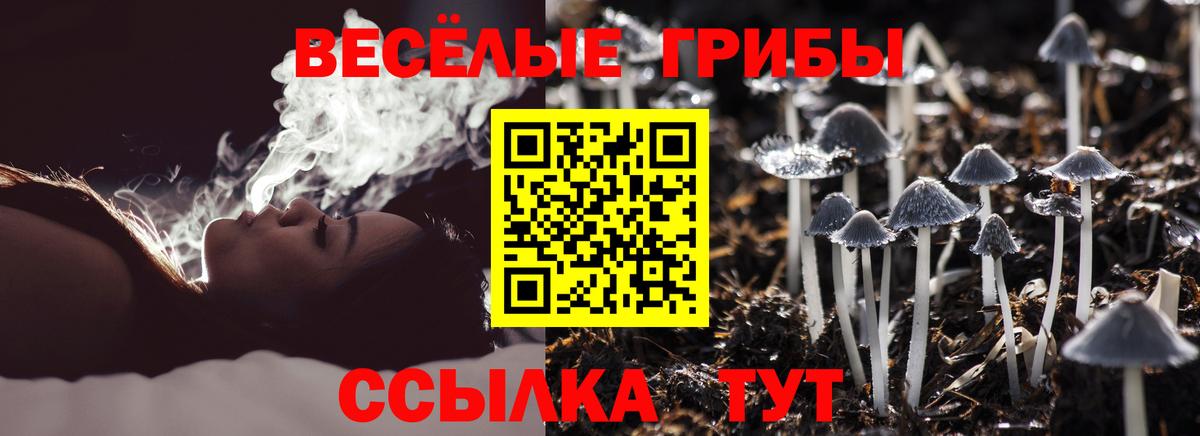 Псилоцибиновые грибы мицелий  Галлюциногенные грибы мицелий  Вход с VPN  Ковров 